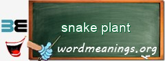 WordMeaning blackboard for snake plant